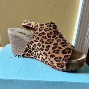 Volatile Brown Leopard Divsion size 10